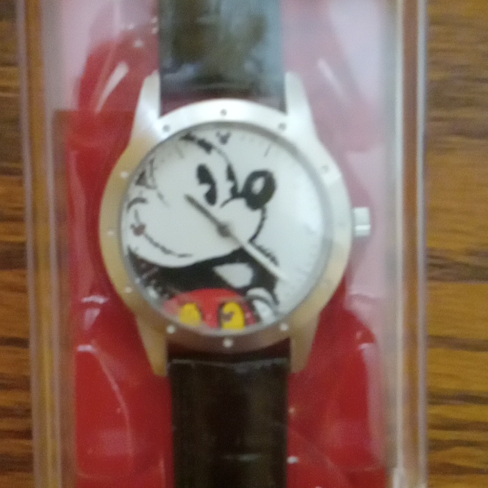 Disneyland Limited Release Watch